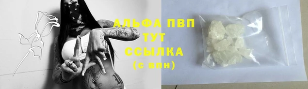 спайс Касимов