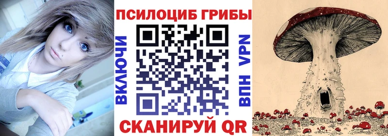 Галлюциногенные грибы Psilocybe  blacksprut как войти  Кувшиново 
